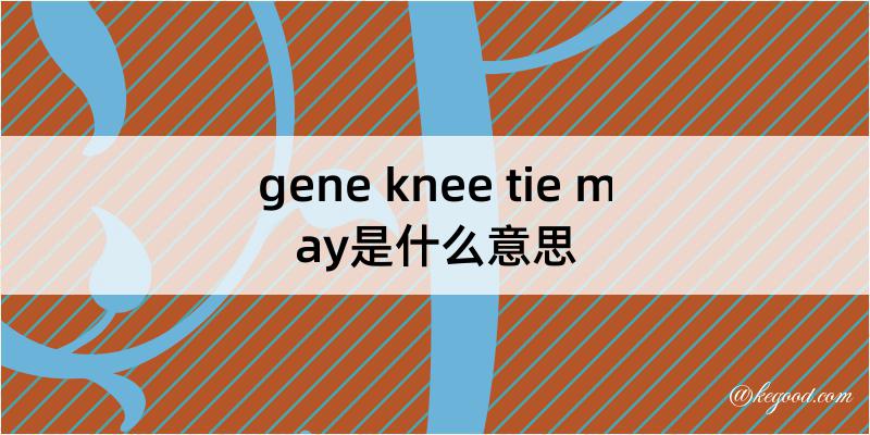 gene knee tie may是什么意思